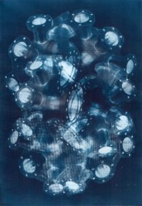Cyanotype Cyanotypes Blueprint Young Artist Contemporary Art Emerging Artist